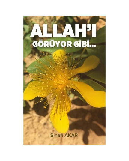 Alsof je God ziet - Sinan Akar