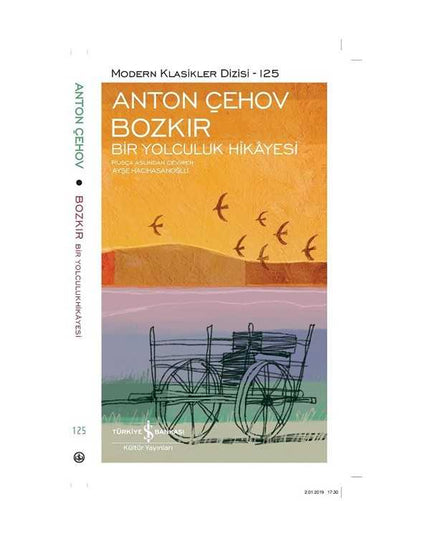 De Steppe: een Reisverhaal