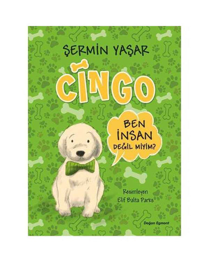 Cingo