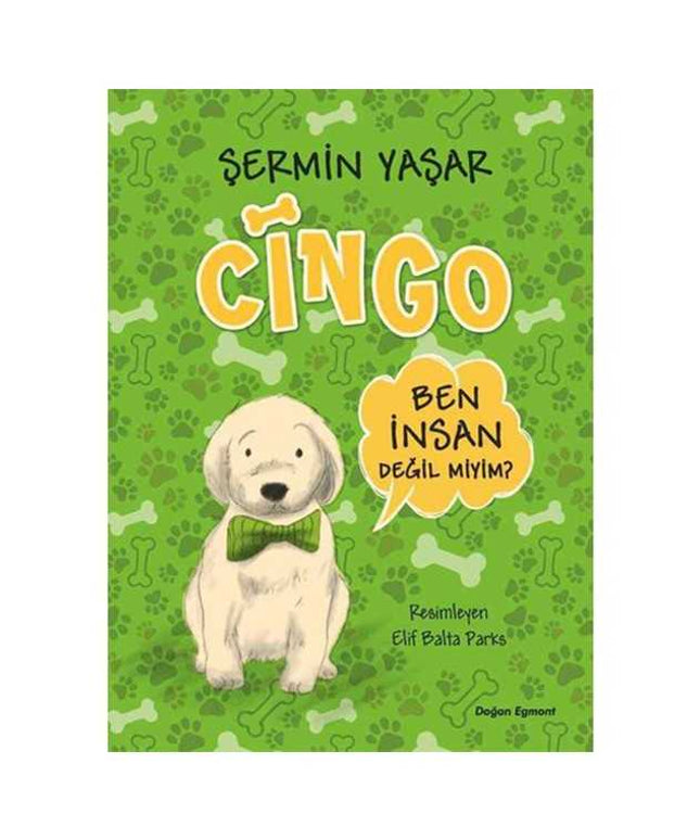 Cingo