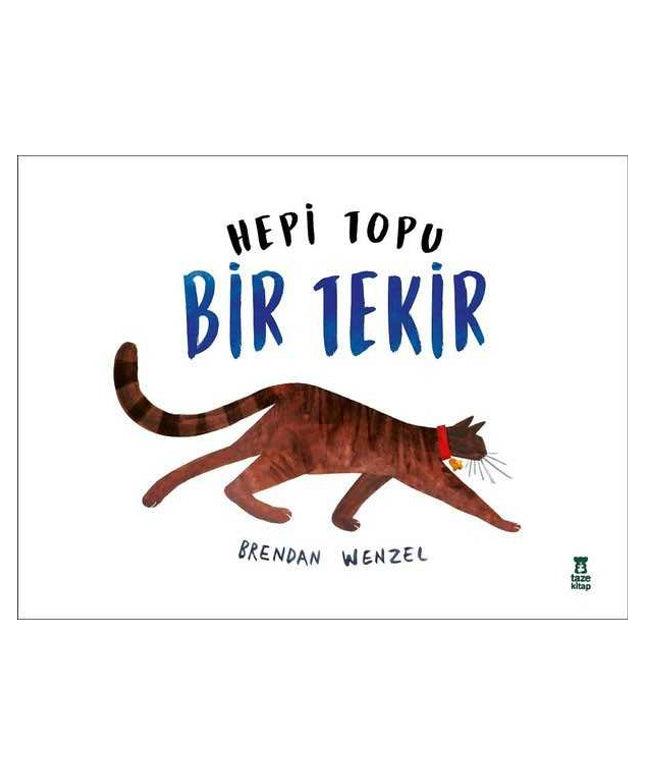 Hepi Topu Bir Tekir