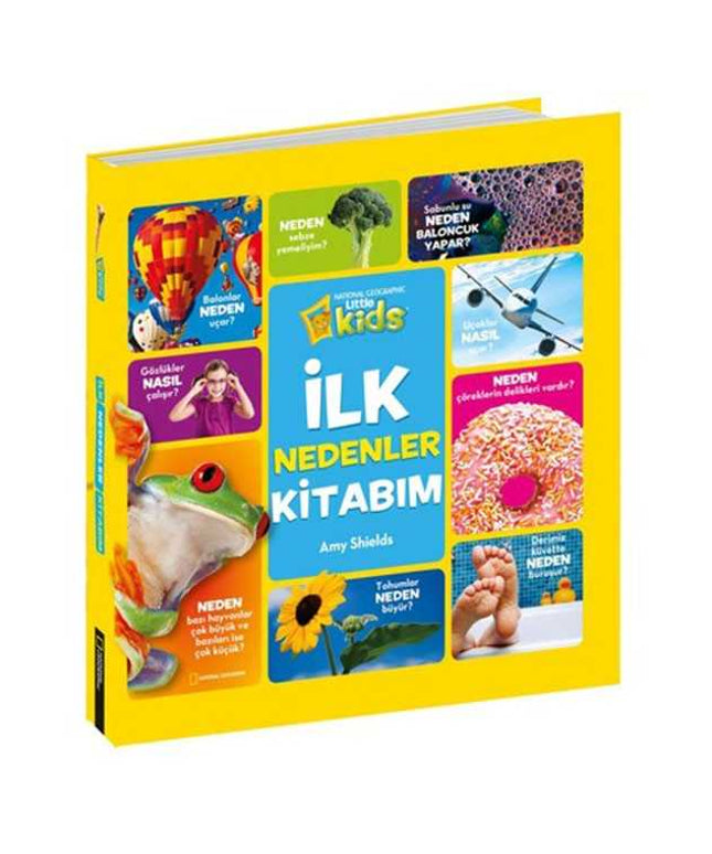 İlk Nedenler Kitabım
