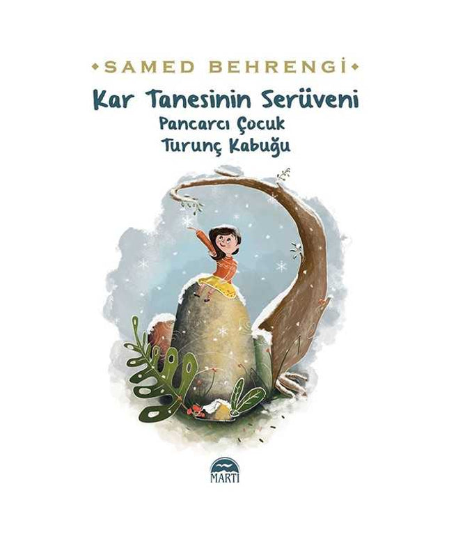 Kar Tanesinin Serüveni