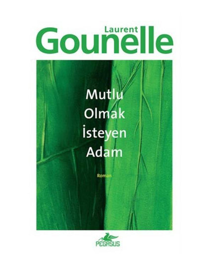 De man die geluk wilde vinden - Laurent Gounelle