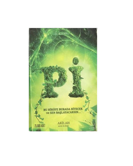 Pi-3.Boek