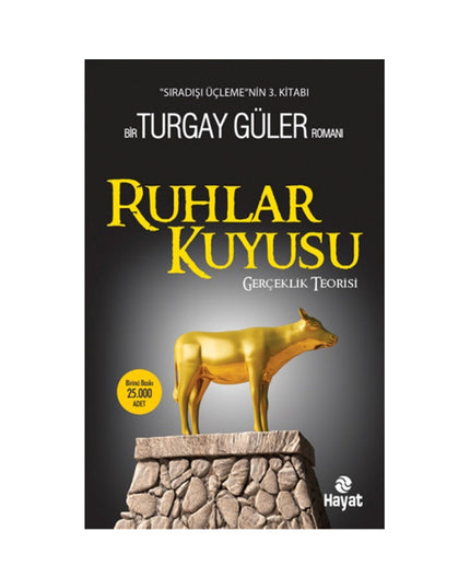 Ruhlar Kuyusu - Gerçeklik Teorisi