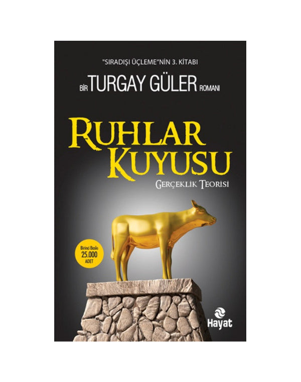 Ruhlar Kuyusu - Gerçeklik Teorisi