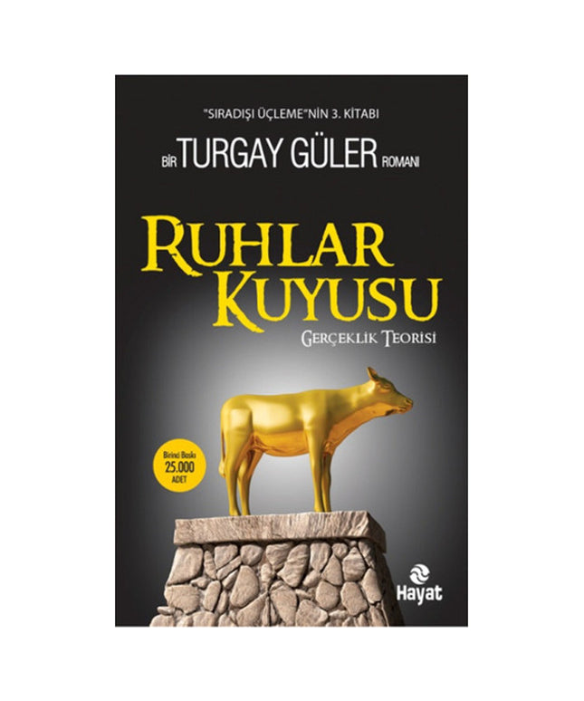 Ruhlar Kuyusu - Gerçeklik Teorisi