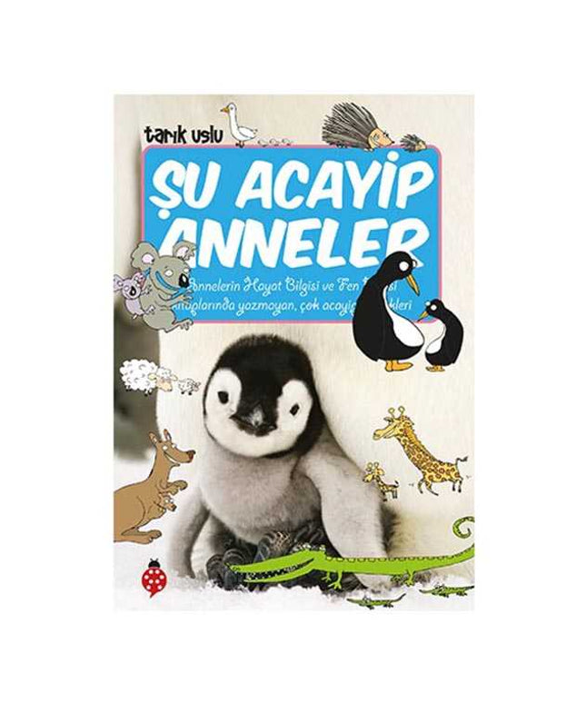 Şu Acayip Anneler