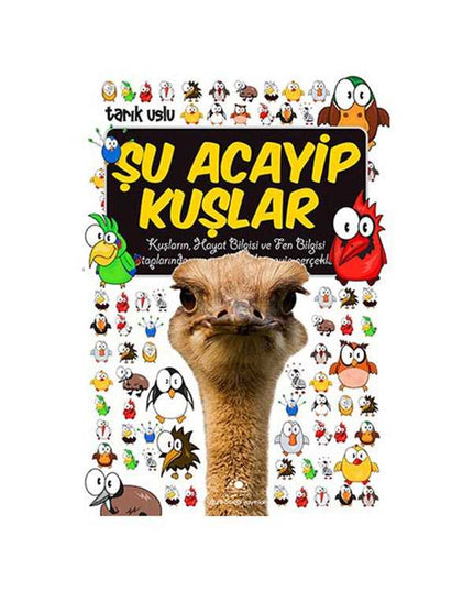 Şu Acayip Kuşlar
