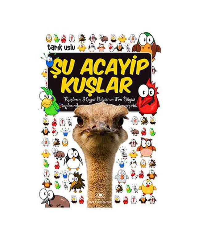 Şu Acayip Kuşlar